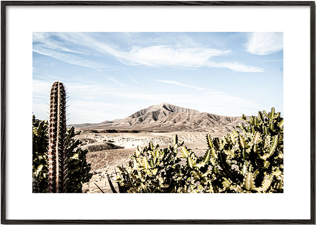 Sandsberg | Lanzarote XXX