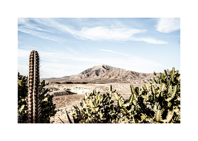 Sandsberg | Lanzarote XXX