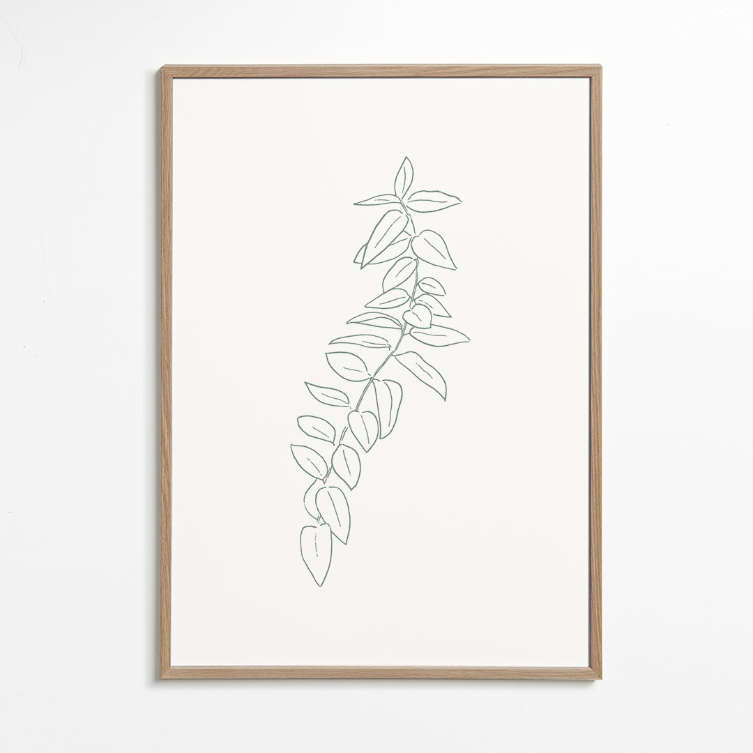 Sandsberg | Botanicals 18