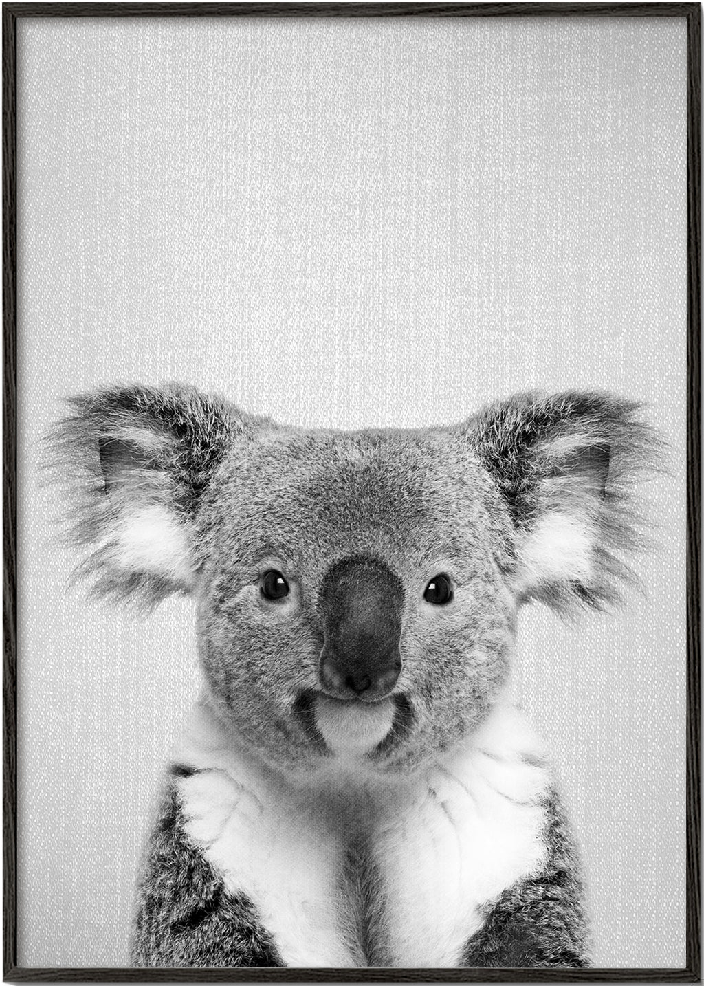 Sandsberg | Koala - Schwarz & Weiß