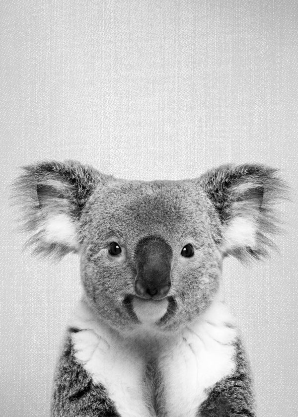 Sandsberg | Koala - Schwarz & Weiß