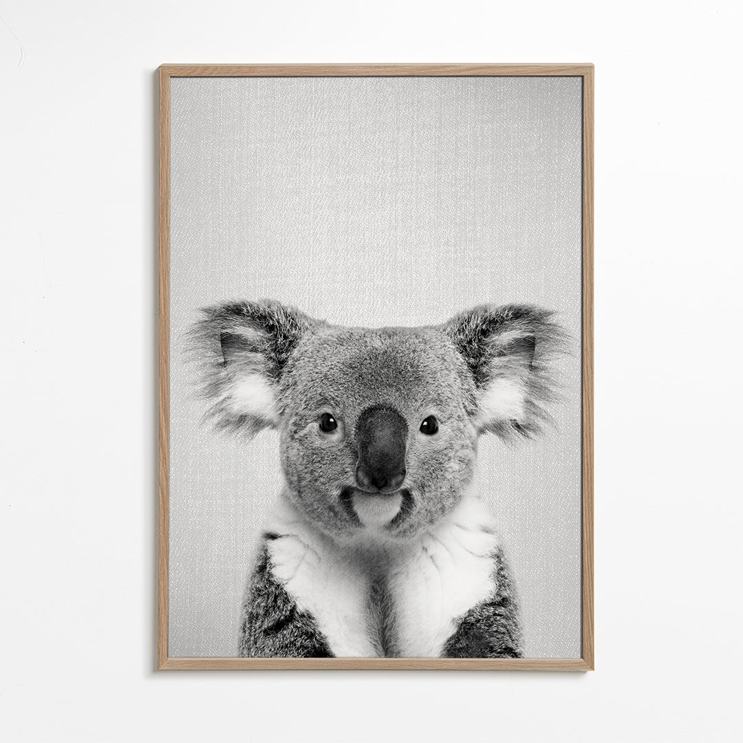 Sandsberg | Koala - Schwarz & Weiß