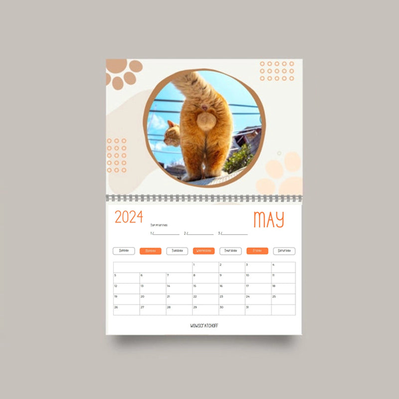 Lustiger Katzenballkalender 2024