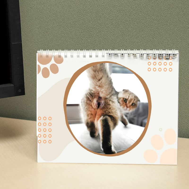 Lustiger Katzenballkalender 2024