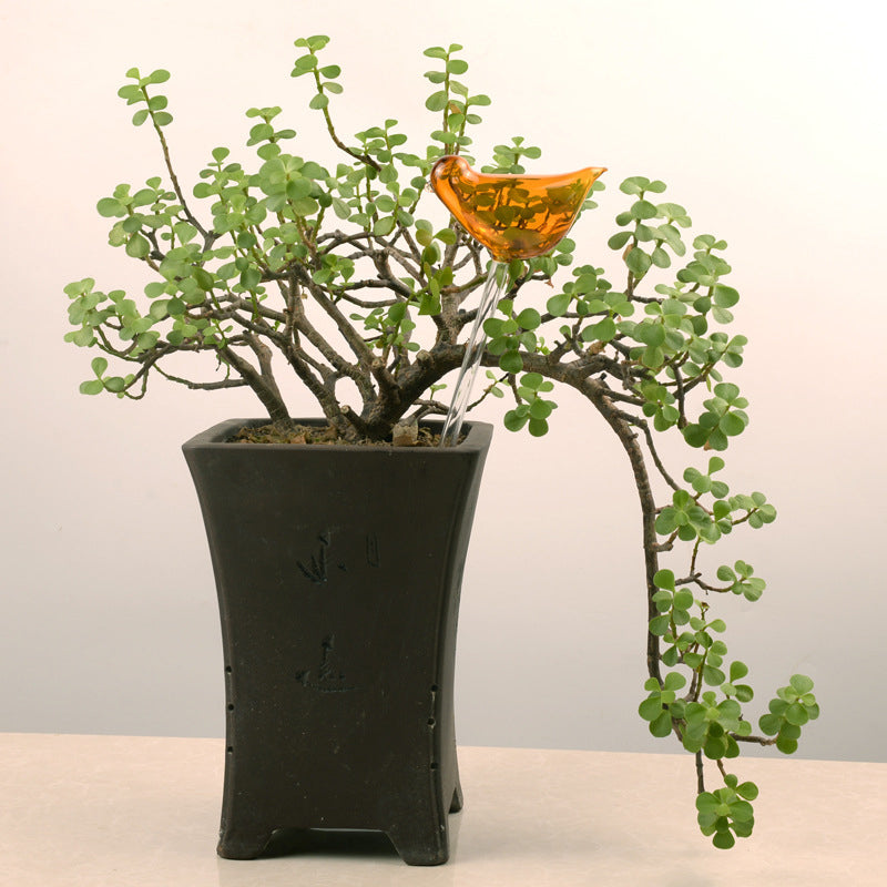 Zelfbewaterende glasvogels