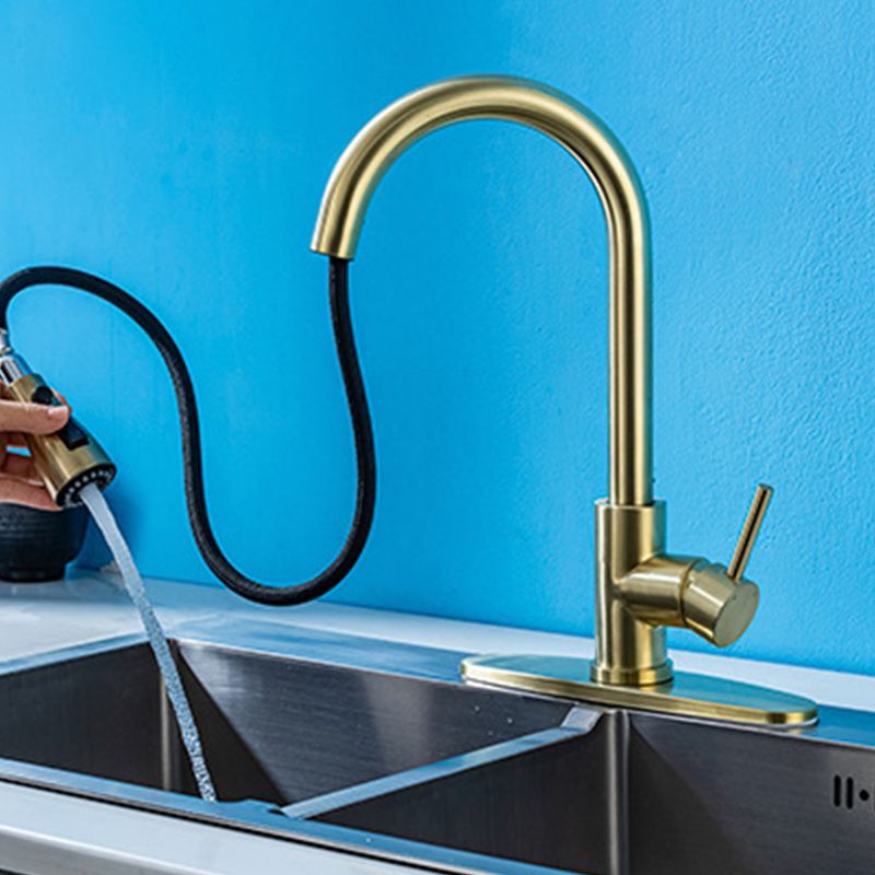 Sandsberg | Moderner Stil Ausziehbarer Spülbecken Wasserhahn Einhand Edelstahl Spülbecken Wasserhahn