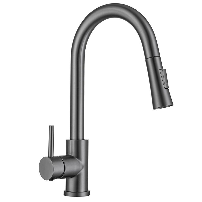 Sandsberg | Moderner Stil Ausziehbarer Spülbecken Wasserhahn Einhand Edelstahl Spülbecken Wasserhahn