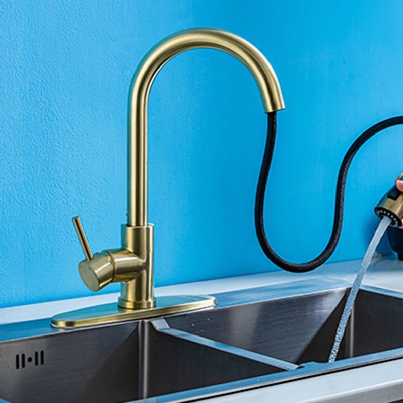 Sandsberg | Moderner Stil Ausziehbarer Spülbecken Wasserhahn Einhand Edelstahl Spülbecken Wasserhahn
