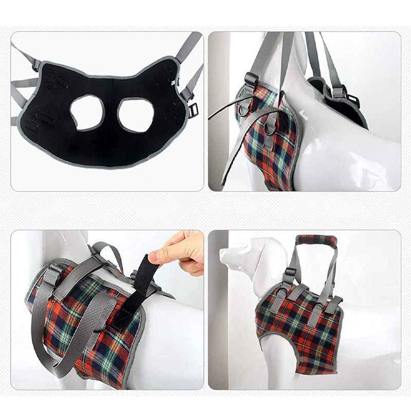 Orthopedische riem voor achterbenen