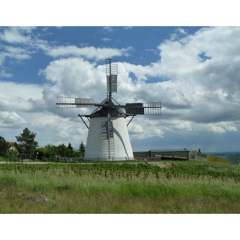 Sandsberg | Volledige Maat Fotografie Moderne Muurschildering Behang met Lente Windmolen Landschap in Blauw