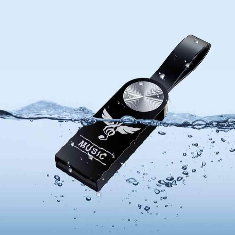 Sandsberg verlustfreier Musik-USB-Stick