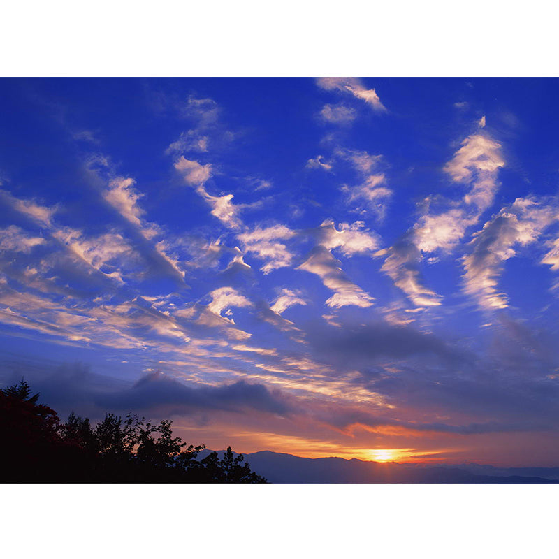 Sonnenuntergang Wolken Szene Tapete Mural Dunkel Farbe Zeitgenössische Wandverkleidung für Flur