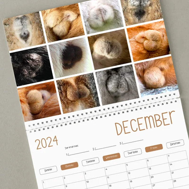 Lustiger Katzenballkalender 2024