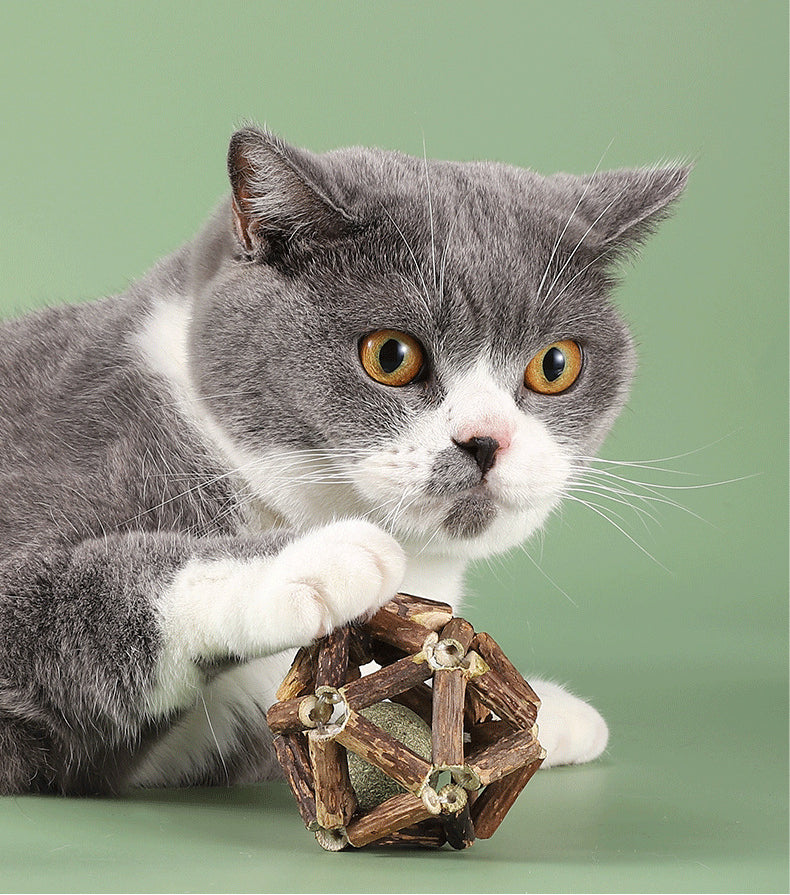 Sandsberg | Polygonum kattenkruidgrasbal