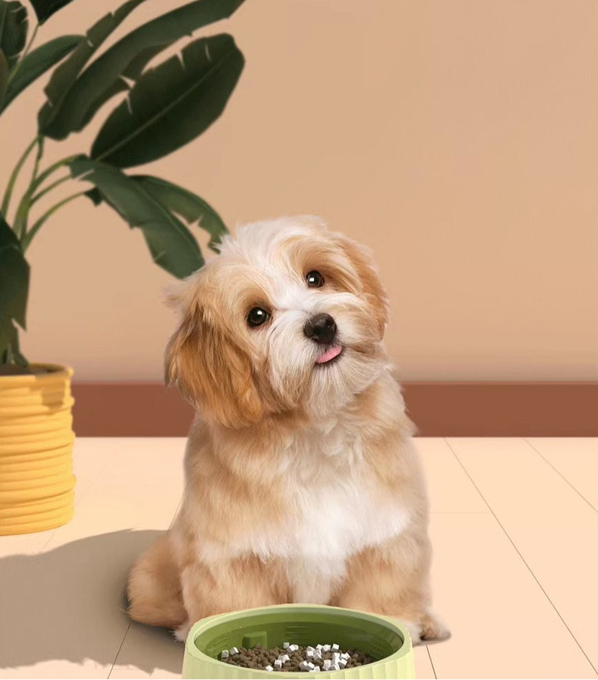 Sandsberg | Hondenvoerbak voor langzaam eten, anti-klop en antislip