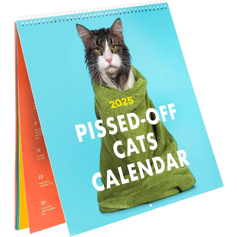 2025 Verärgerte Katzen Kalender
