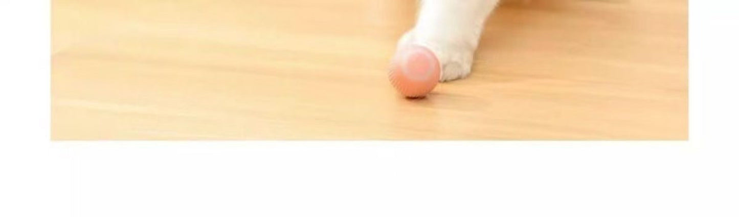 Sandsberg | Elektrische rollerball plaagt kat