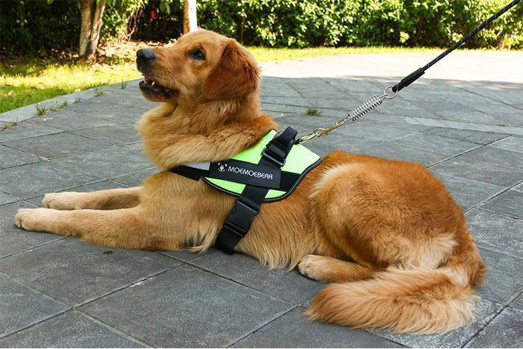 Reflektierendes, nicht ziehendes Hundegeschirr