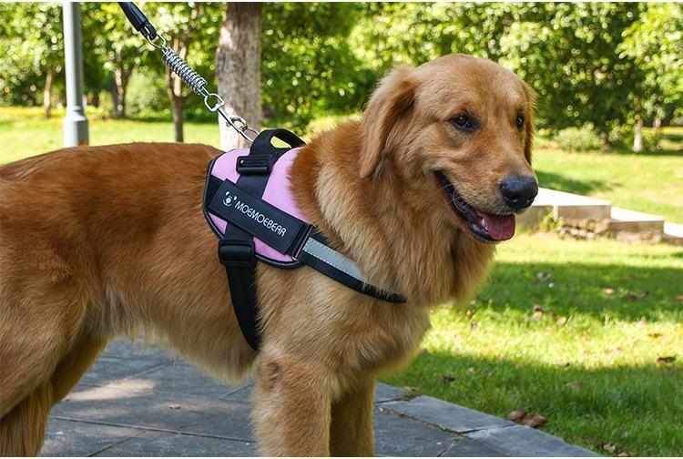 Reflektierendes, nicht ziehendes Hundegeschirr