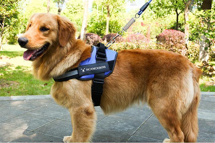 Reflektierendes, nicht ziehendes Hundegeschirr