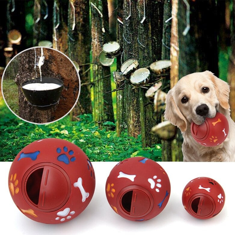 Hundezahnreinigungsball