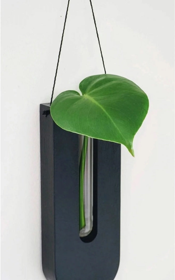 Sandsberg | WoodFlora | Rustikales Holz Wandblumenhalter Set – Kreative Pflanzenpräsentation für Innenräume