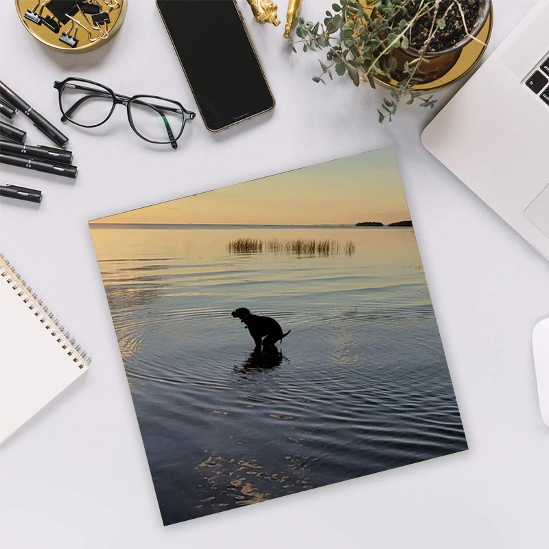 Lustiges Kalender Geschenk
