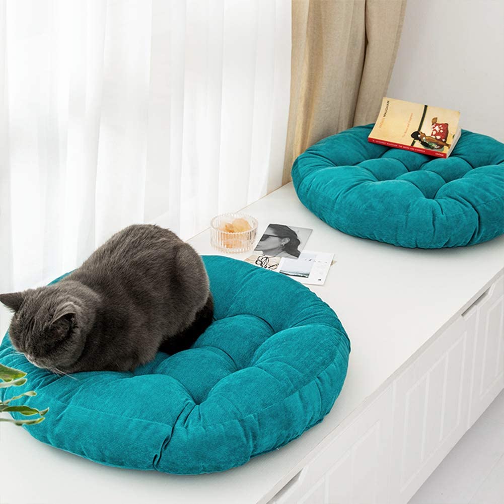 Sofa . Sitzkissen