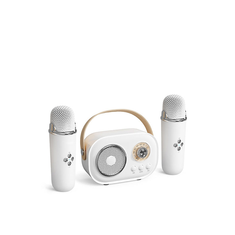 Mini Karaoke Maschine & Bluetooth Lautsprecher Mit Kabellosem Mikrofon