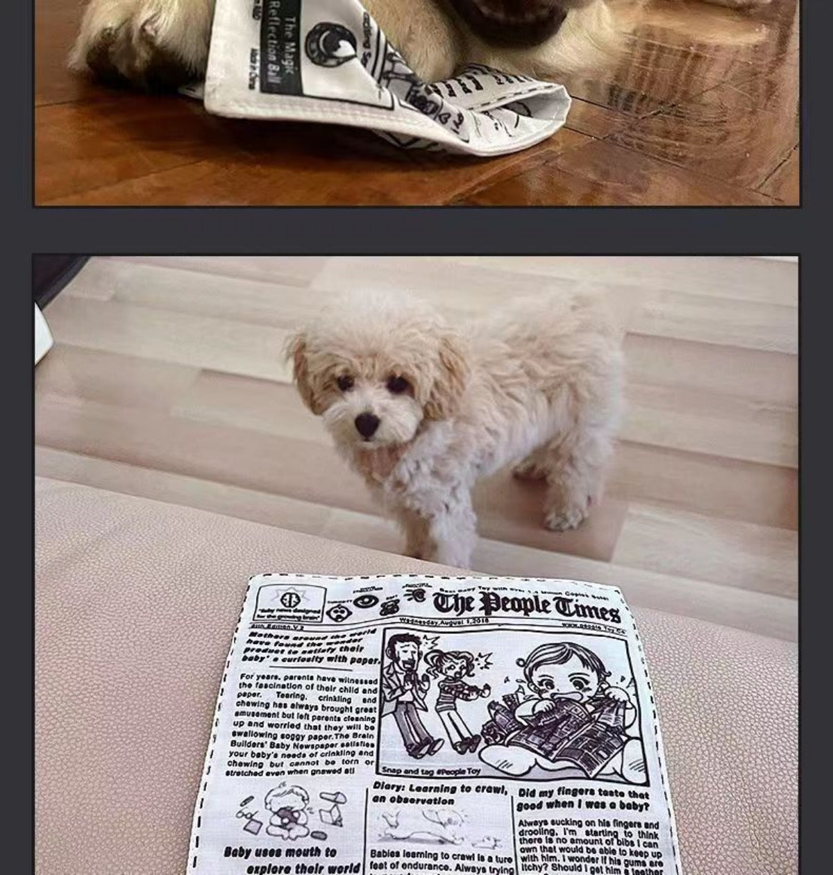 Sandsberg | Pet Voice Krantenkrant Knarsend Tanden Speelgoed