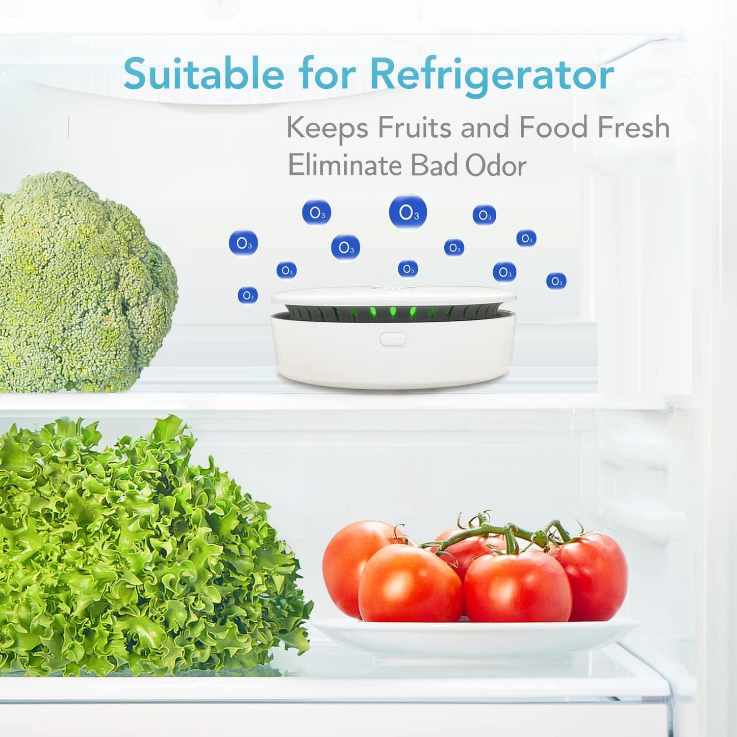 Sandsberg | FreshAir Ozon-Geruchsvernichter – Tragbarer Luftreiniger für Rauch, Tiergerüche und Haushaltsgerüche