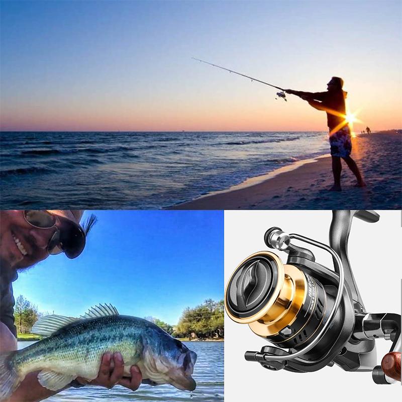 Sandsberg | Die NEUE Range Spinnfischrolle