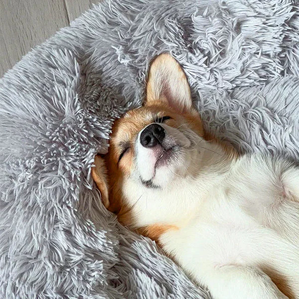 Sandsberg | Beruhigendes Hundebett