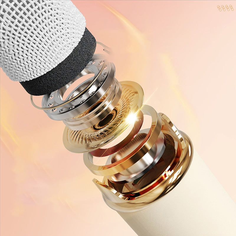 Mini Karaoke Maschine & Bluetooth Lautsprecher Mit Kabellosem Mikrofon