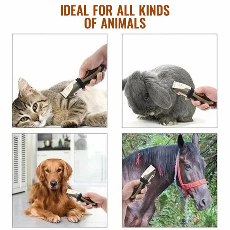 Ultra-leise professionelle Hundeschneider