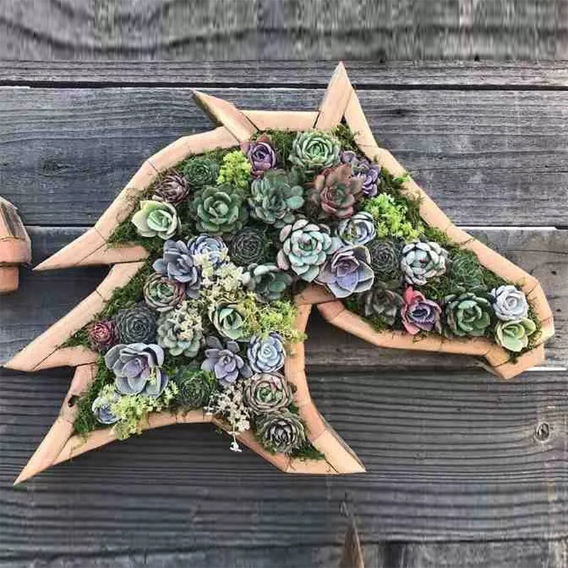 Tier-Sukkulenten-Garten-Anordnung