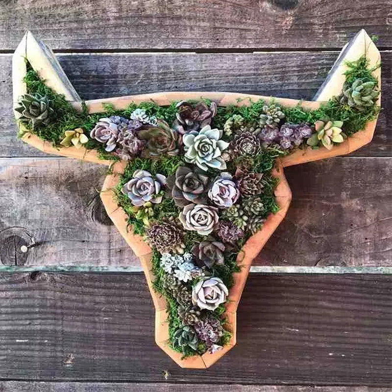Tier-Sukkulenten-Garten-Anordnung