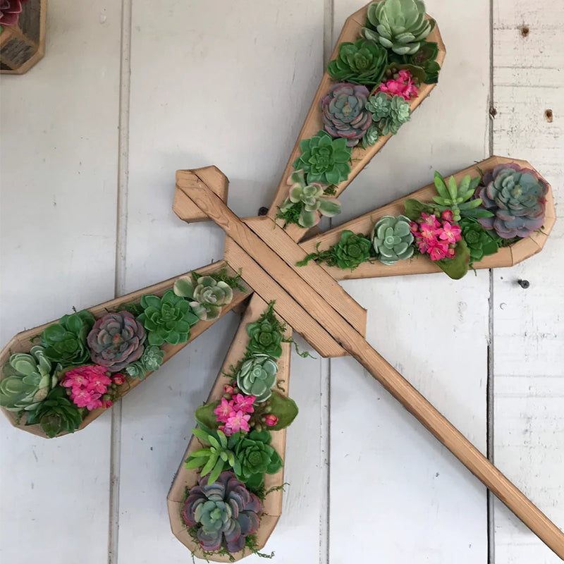 Tier-Sukkulenten-Garten-Anordnung