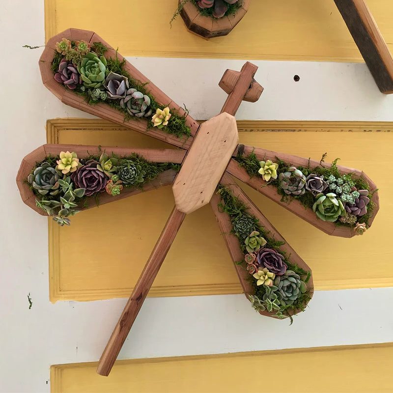 Tier-Sukkulenten-Garten-Anordnung