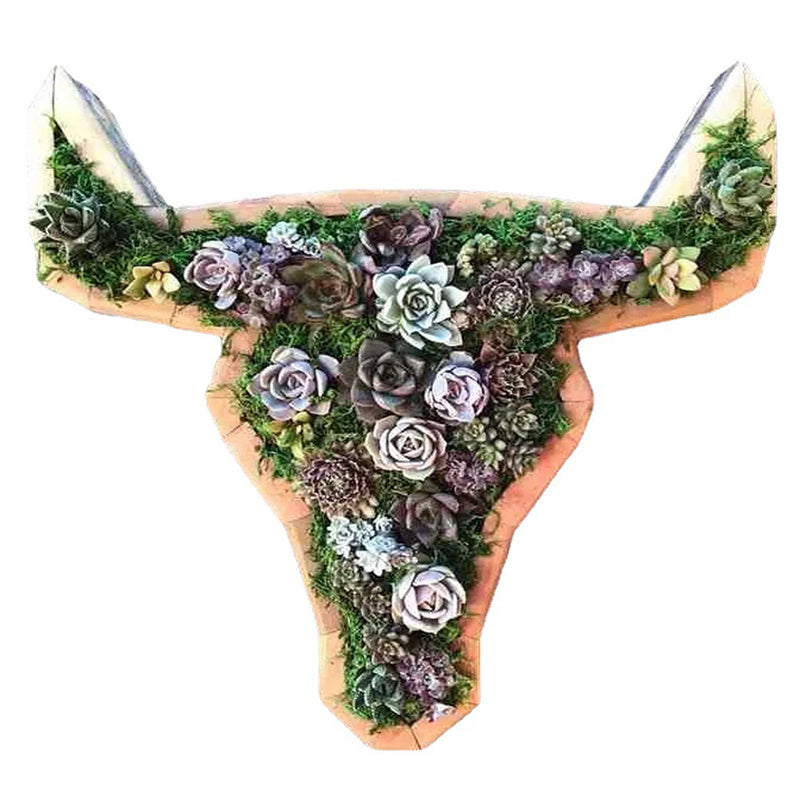 Tier-Sukkulenten-Garten-Anordnung