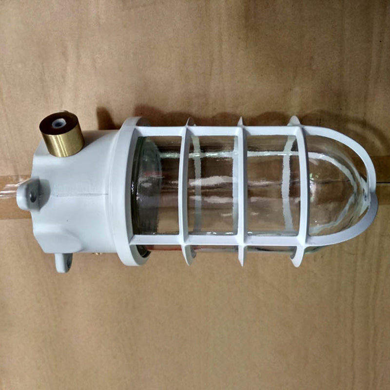 Industriewasserfeste Aluminiumlegierung Glaszylinder Käfig 1-Licht Halb-flush Deckenleuchte für Außenpatio