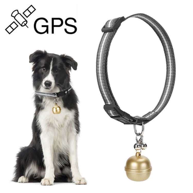Sandsberg | G15 2G IP67 Wasserdichter GPS-Tracker für Haustiere GPS + Beidou + AGPS + WiFi + Basisstationsortung (Gold)