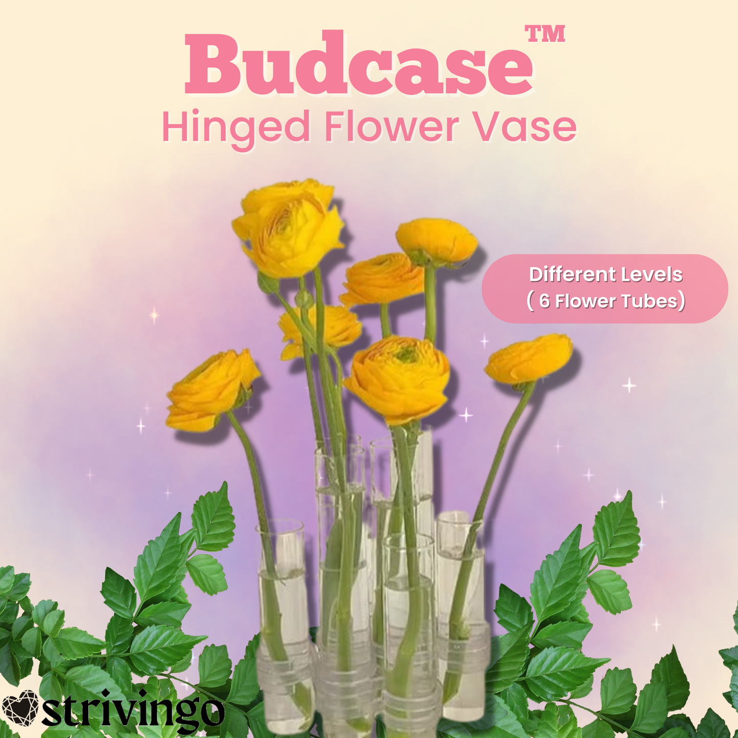 Budcase Hinged Blumenvasen