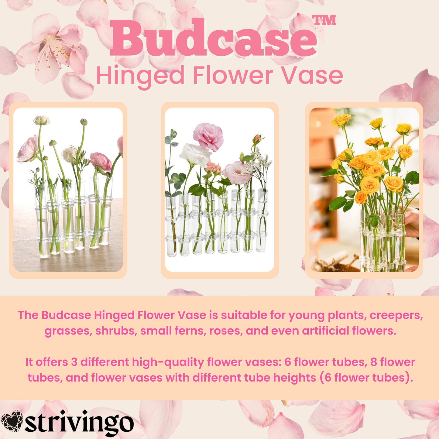 Budcase Hinged Blumenvasen