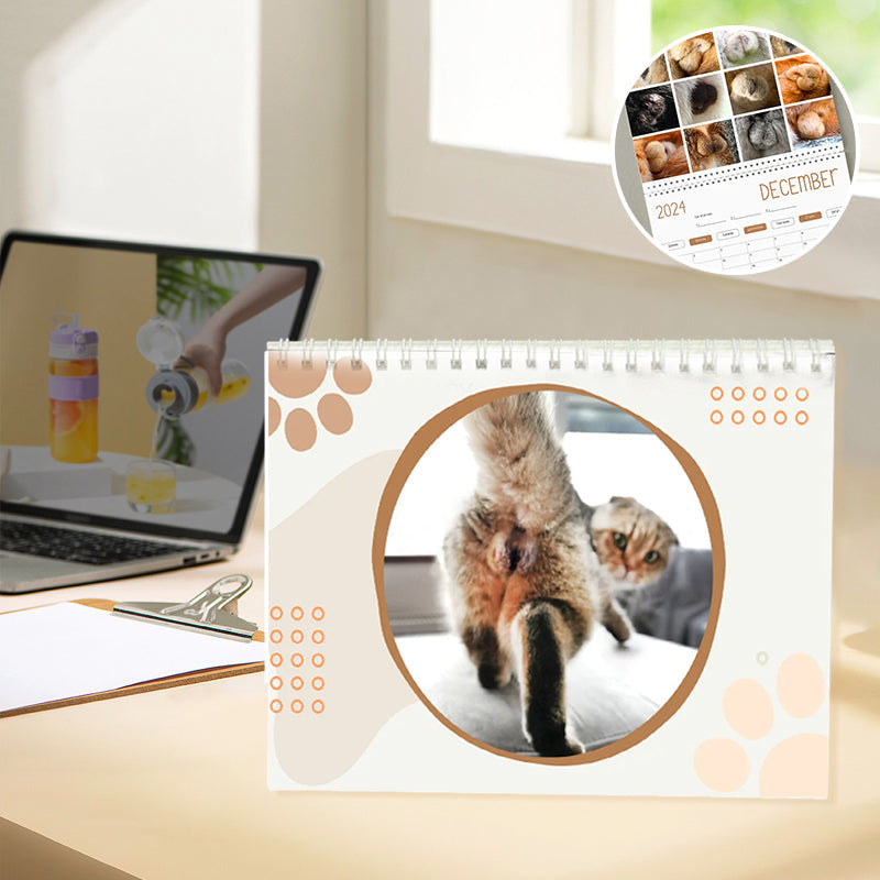 Lustiger Katzenballkalender 2024