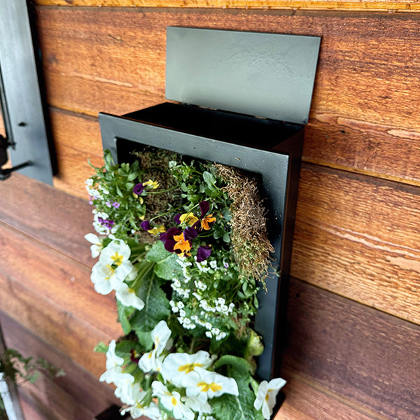 Schwarzer Rahmen Wohnzimmer Wandpflanzer