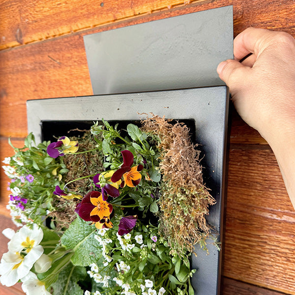 Schwarzer Rahmen Wohnzimmer Wandpflanzer