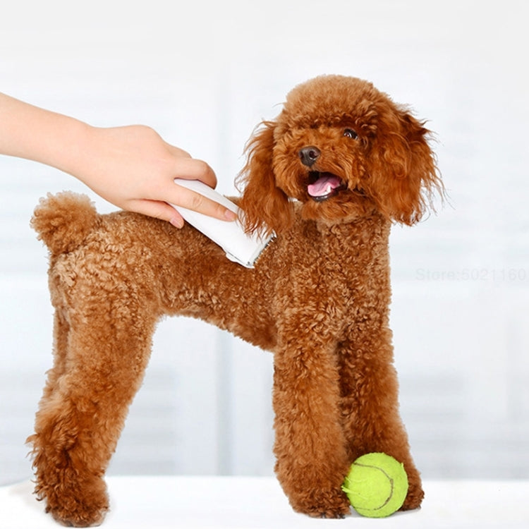 Sandsberg | Original Xiaomi Youpin Pawbby Hund Professionelle Rasierer Haustierpflege Haarschneider Elektrisch Wiederaufladbare Sicherheits-Haarschneidemaschine (Weiß)