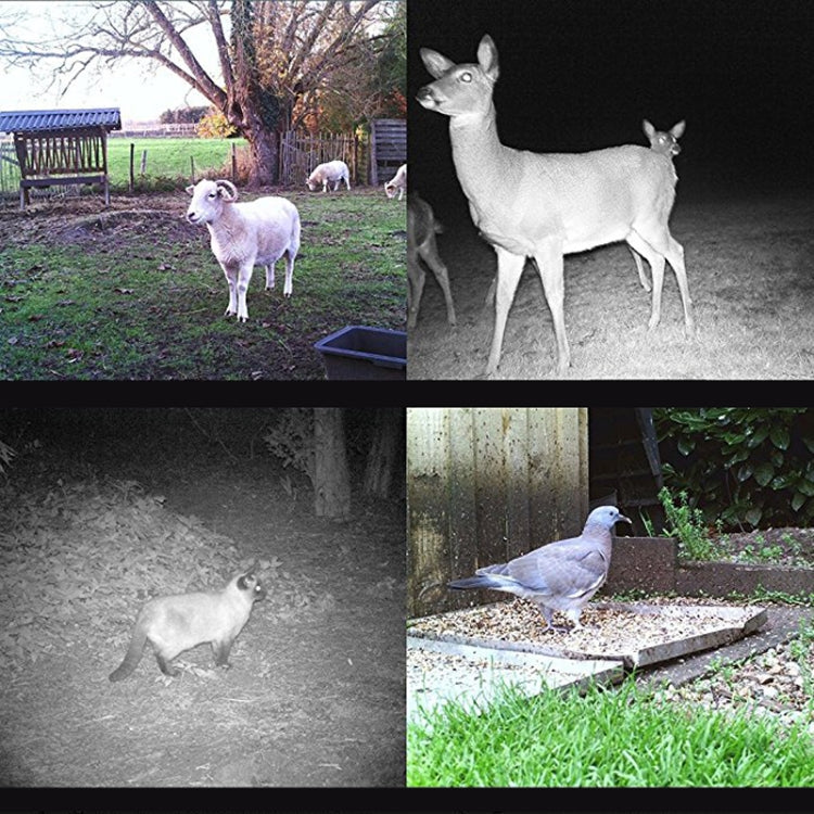 Sandsberg | Suntek HC-700A 2,0 Zoll LCD 16MP wasserdichte IR-Nachtlicht-Überwachung Jagd-Fotofalle, 120 Grad Weitwinkel