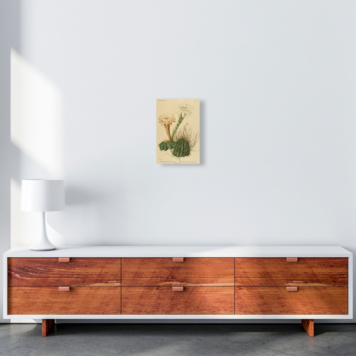 Sandsberg | Cactus Serie 6 Kunstdruck